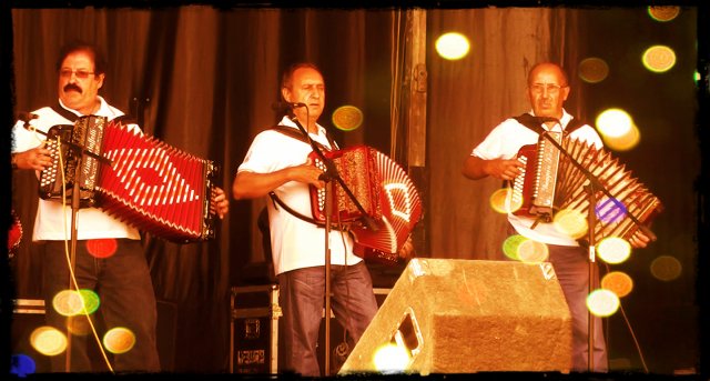 concertinas10a